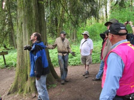 Phil Hamilton, just to right of tree, is telling group about owl in the tree.