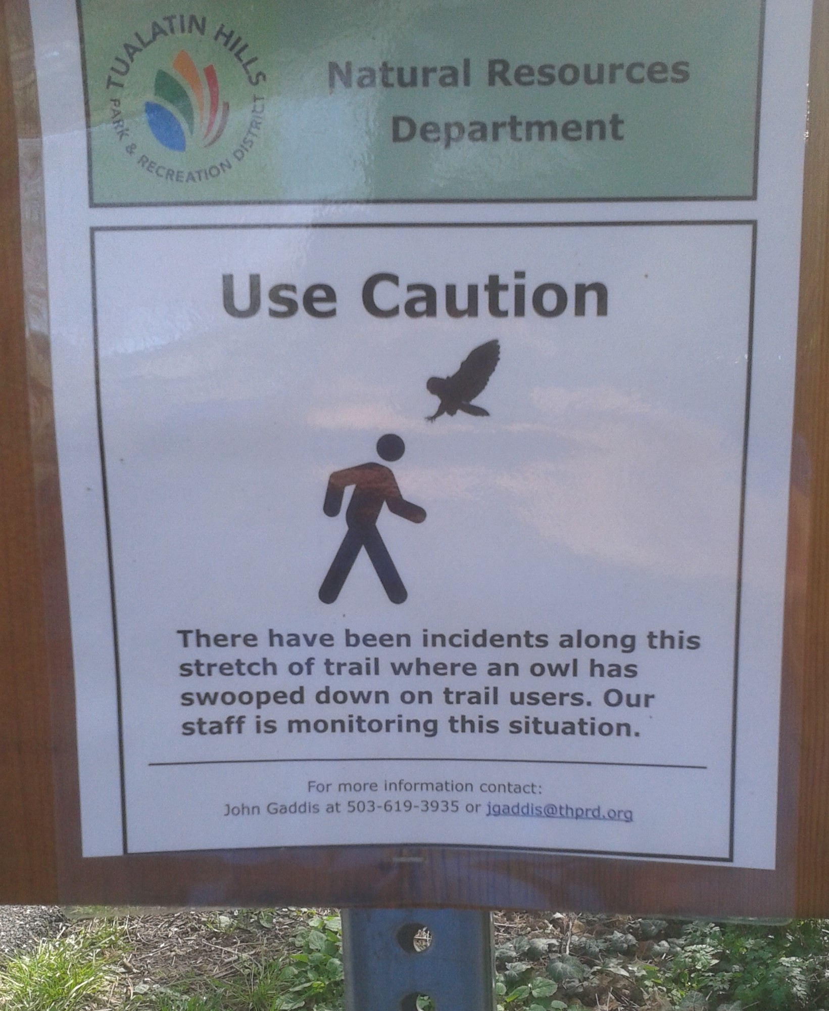 Beware of owl
